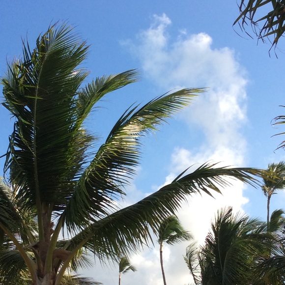 Meet the Posher Other - Meet your Posher, Caitlyn